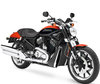 LED ja Xenon-muutossarjat Harley-Davidson Street Rod 1130 -mallille
