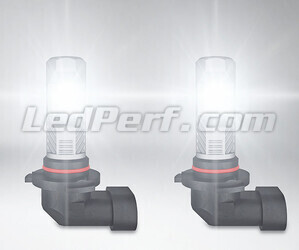 LED-polttimot H10 Osram LEDriving Standard autolle sumuvalot toiminnassa