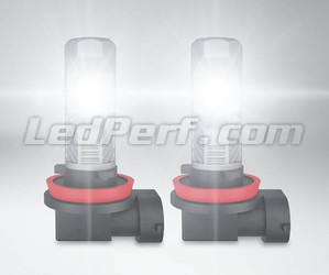 LED-polttimot H11 Osram LEDriving Standard autolle sumuvalot toiminnassa