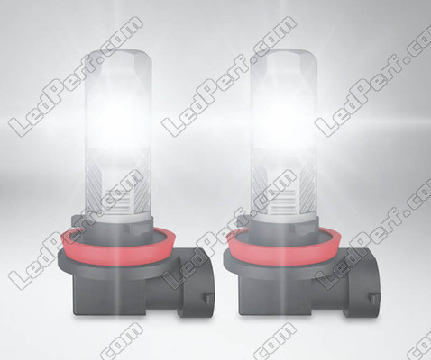 LED-polttimot H11 Osram LEDriving Standard autolle sumuvalot toiminnassa