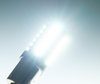 Valaistus polttimo P21W LED (BA15S) Ultimate Erittäin tehokas