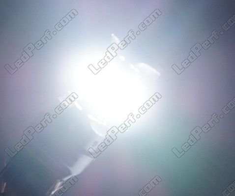 W21/5W LED Ghost-sarjan valo valkoinen