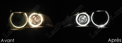 LED xenon valkoiset mallille angel eyes BMW X5 (E70) 6000K