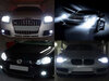 Polttimot Xenon Effect mallille Ajovalot BMW X6 (E71 E72)