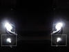 LED sumuvalot xenon valkoinen Ford Focus MK2 -