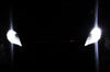 LED parkkivalot xenon valkoinen Ford Mondeo MK4