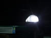 LED parkkivalot xenon valkoinen Honda Civic 6G