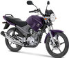 Moottoripyörä Yamaha YBR 125 (2010 - 2013) (2010 - 2013)