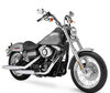 Moottoripyörä Harley-Davidson Street Bob 1450 (2005 - 2006)