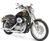 Moottoripyörä Harley-Davidson Custom 883 (1999 - 2009)
