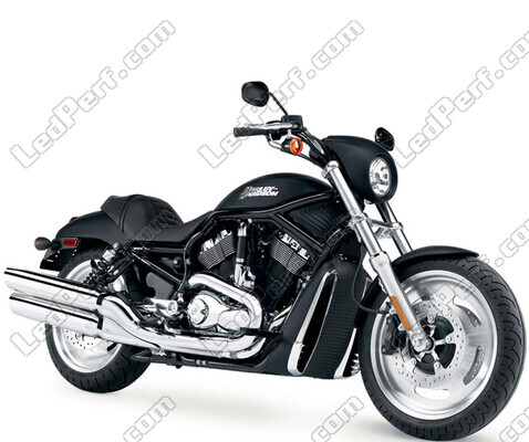 Moottoripyörä Harley-Davidson Night Rod 1130 (2005 - 2007)
