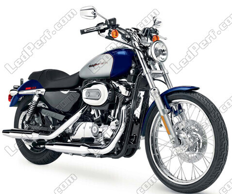 Moottoripyörä Harley-Davidson Custom 1200 (2000 - 2010) (2000 - 2010)