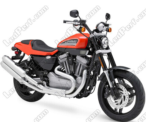 Moottoripyörä Harley-Davidson XR 1200 (2007 - 2010)