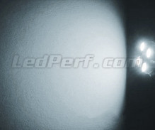 LED-parkkivalopaketti (xenon valkoinen) Suzuki Grand Vitara -mallille