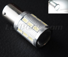 Polttimo P21/5W Magnifier 21 LED SG Suuri Teho + Magnifier valkoiset Kanta BAY15D