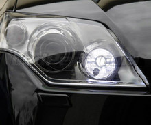 LED-päiväajovalopaketti (xenon valkoinen) Renault Laguna 3 -mallille