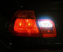 LED-peruutusvalopaketti (valkoinen 6000K) BMW 3-sarjan (E46) -mallille
