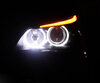 Angel eyes LED-paketti BMW 5-sarjan E60 E61 Ph 2 (LCI) - Alkuperäisellä xenon - Standardi