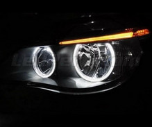 Angel Eyes LED-paketti BMW 5-sarjan E60 E61 Ph 2 (LCI) - Ilman alkuperäistä xenon