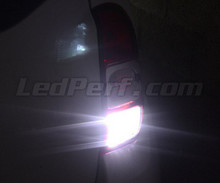 LED-peruutusvalopaketti (valkoinen 6000K) Dacia Duster -mallille