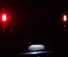 LED-rekisterikilven valaistuspaketti (xenon valkoinen) Renault Trafic 2 -mallille