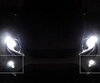 LED-sumuvalaisinpaketti (xenon valkoinen) Ford Focus MK2 -mallille