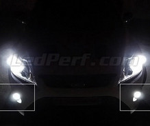 LED-sumuvalaisinpaketti (xenon valkoinen) Ford Focus MK2 -mallille