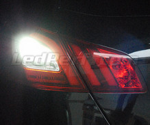 LED-peruutusvalopaketti (valkoinen 6000K) Peugeot 308 II -mallille