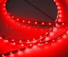 Joustava nauha standardi, pituus 1 metri (60 LED SMD). punainen