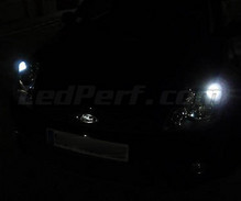 LED-parkkivalopaketti (xenon valkoinen) Ford Fiesta MK6 -mallille