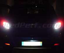 LED-peruutusvalopaketti (valkoinen 6000K) Dacia Sandero 2 -mallille