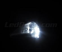 LED-parkkivalopaketti (xenon valkoinen) mallille Fiat Grande Punto
