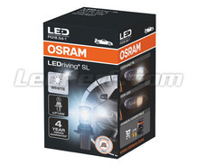 LED-polttimo P13W Osram LEDriving SL - Cool White 6000K - 828DWP