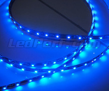 Joustava nauha standardi, pituus 1 metri (60 LED SMD). sininen